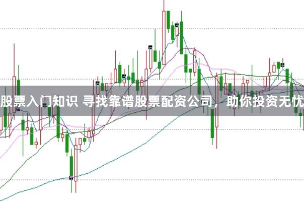 股票入門知識 尋找靠譜股票配資公司，助你投資無憂
