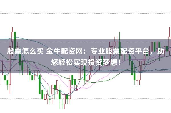 股票怎么買 金牛配資網：專業股票配資平臺，助您輕松實現投資夢想！