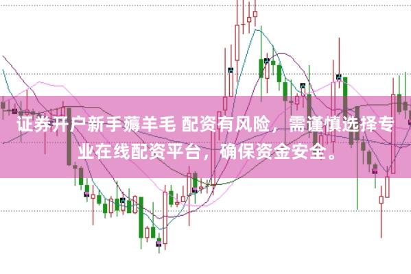 證券開戶新手薅羊毛 配資有風險，需謹慎選擇專業在線配資平臺，確保資金安全。